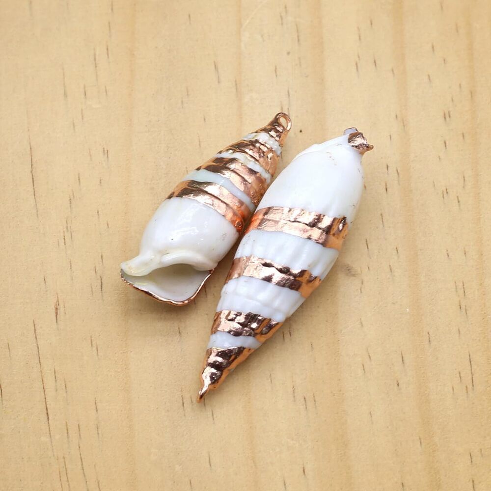 8848 20pcs Natural Pendants - Spiral, Conch, Cowrie, Sea Shells Charms - Picture 6 of 7